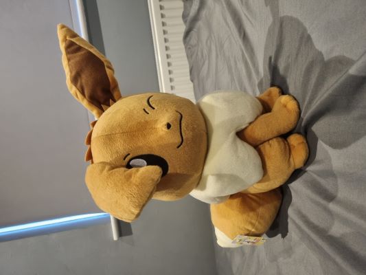 Big Eevee Plush! (their camera shy)